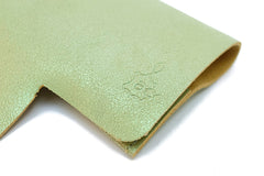 Etui à lunettes en cuir verte