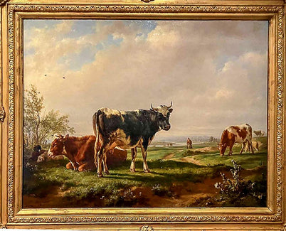 De l'animal à son cuir, les parties utilisées