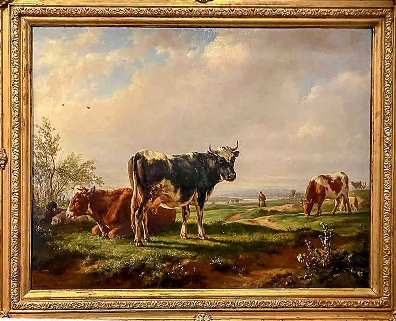 De l'animal à son cuir, les parties utilisées