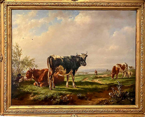 De l'animal à son cuir, les parties utilisées