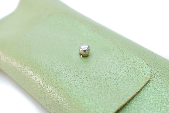 Green leather spectacle case