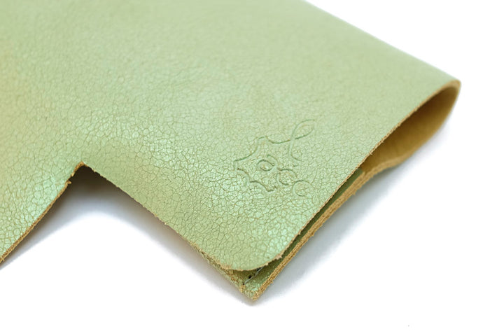 Green leather spectacle case