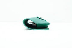 Etui à lunettes en cuir vert