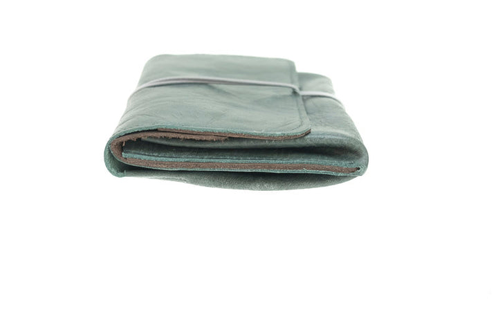 purse wallet money leather green