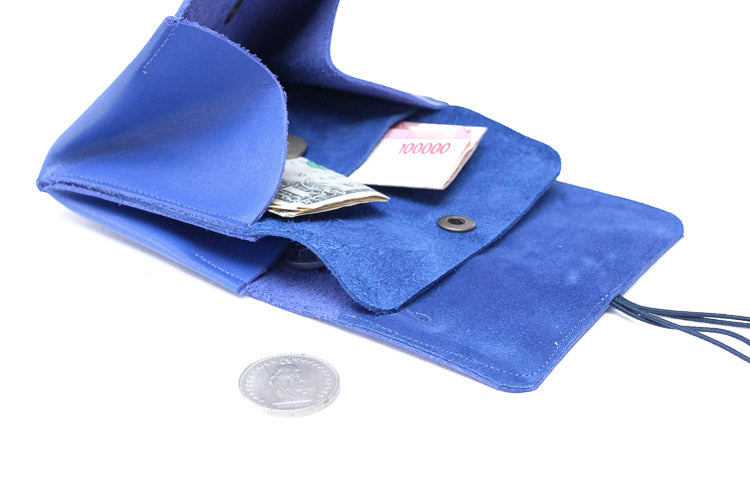 big purse blue color coin money
